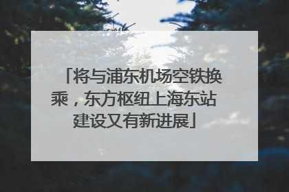 将与浦东机场空铁换乘，东方枢纽上海东站建设又有新进展