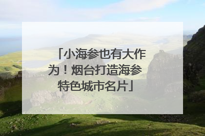 小海参也有大作为！烟台打造海参特色城市名片