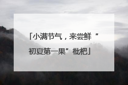 小满节气，来尝鲜“初夏第一果”枇杷