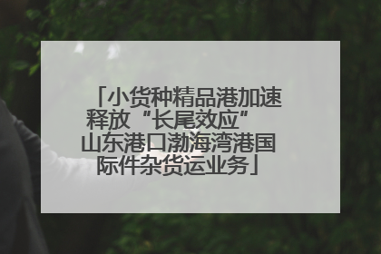 小货种精品港加速释放“长尾效应” 山东港口渤海湾港国际件杂货运业务