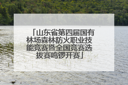 山东省第四届国有林场森林防火职业技能竞赛暨全国竞赛选拔赛鸣锣开赛