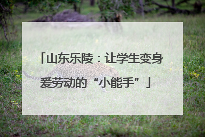山东乐陵：让学生变身爱劳动的“小能手”