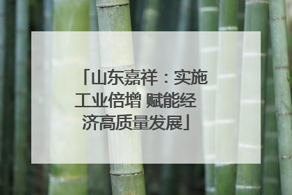 山东嘉祥：实施工业倍增 赋能经济高质量发展