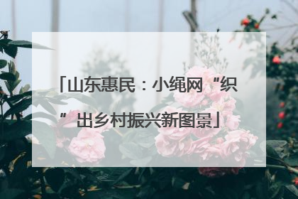 山东惠民：小绳网“织”出乡村振兴新图景