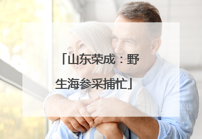山东荣成：野生海参采捕忙