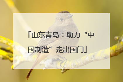 山东青岛：助力“中国制造”走出国门