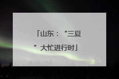 山东：“三夏”大忙进行时