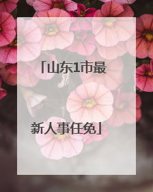 山东1市最新人事任免