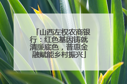 山西左权农商银行：红色基因铸就清廉底色，普惠金融赋能乡村振兴
