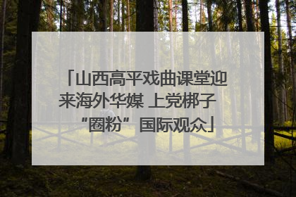 山西高平戏曲课堂迎来海外华媒 上党梆子“圈粉”国际观众