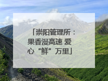 崇阳管理所：果香漫高速 爱心“鲜”万里