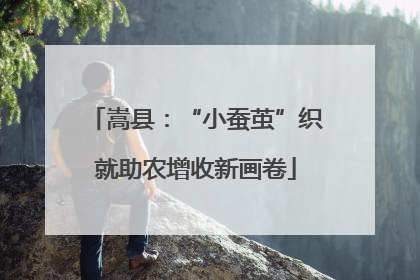 嵩县：“小蚕茧”织就助农增收新画卷
