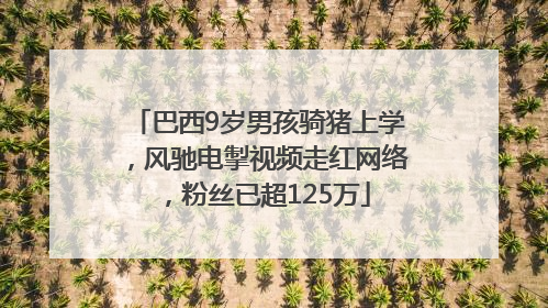 巴西9岁男孩骑猪上学，风驰电掣视频走红网络，粉丝已超125万