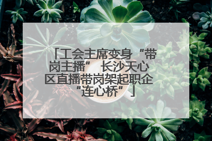 工会主席变身“带岗主播” 长沙天心区直播带岗架起职企“连心桥”