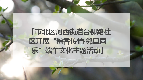 市北区河西街道台柳路社区开展“粽香传情·邻里同乐”端午文化主题活动