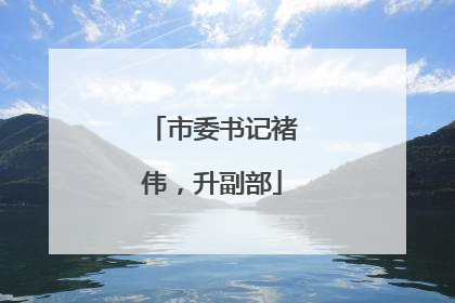 市委书记褚伟，升副部