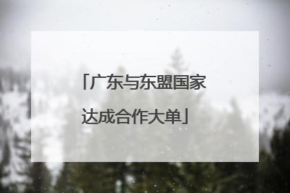 广东与东盟国家达成合作大单