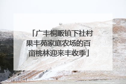 广丰桐畈镇下社村果丰苑家庭农场的百亩桃林迎来丰收季