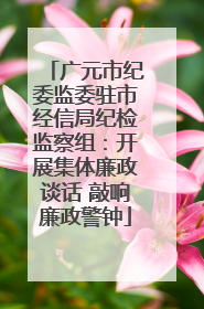 广元市纪委监委驻市经信局纪检监察组：开展集体廉政谈话 敲响廉政警钟