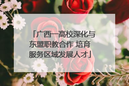 广西一高校深化与东盟职教合作 培育服务区域发展人才