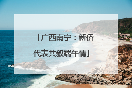 广西南宁：新侨代表共叙端午情
