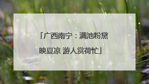 广西南宁：满池粉黛映夏凉 游人赏荷忙