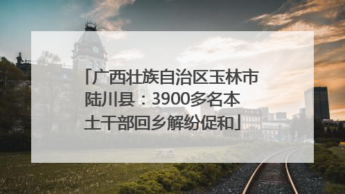 广西壮族自治区玉林市陆川县：3900多名本土干部回乡解纷促和