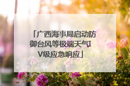 广西海事局启动防御台风等极端天气IV级应急响应