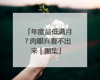 年度最低满月？肉眼真看不出来｜图集
