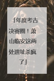 年度考古决赛圈！萧山临安这两处遗址杀疯了
