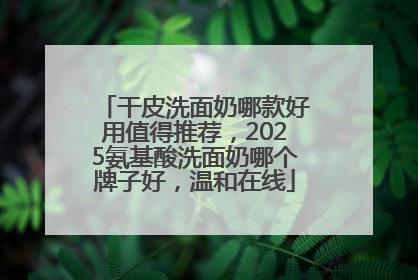 干皮洗面奶哪款好用值得推荐，2025氨基酸洗面奶哪个牌子好，温和在线