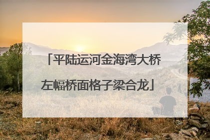 平陆运河金海湾大桥左幅桥面格子梁合龙