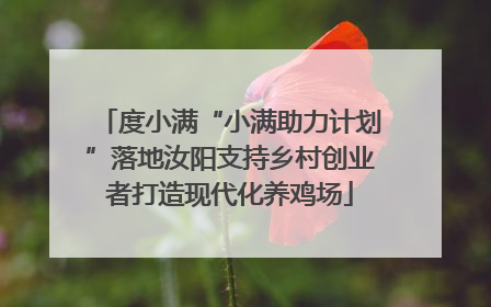 度小满“小满助力计划”落地汝阳支持乡村创业者打造现代化养鸡场