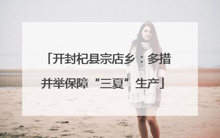 开封杞县宗店乡：多措并举保障“三夏”生产