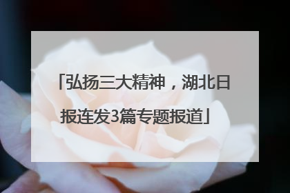弘扬三大精神，湖北日报连发3篇专题报道