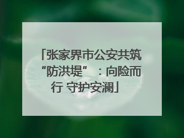 张家界市公安共筑“防洪堤”：向险而行 守护安澜