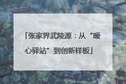 张家界武陵源：从“暖心驿站”到创新样板