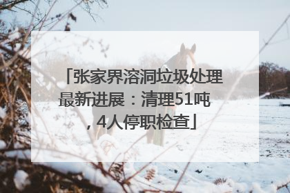 张家界溶洞垃圾处理最新进展：清理51吨，4人停职检查