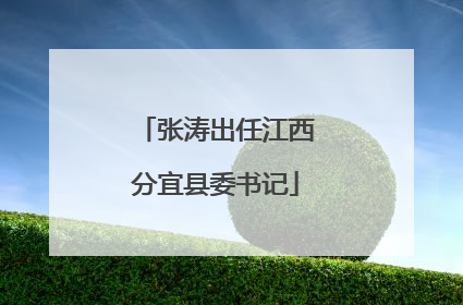 张涛出任江西分宜县委书记