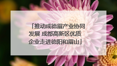推动成德眉产业协同发展 成都高新区优质企业走进德阳和眉山