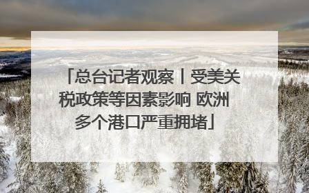 总台记者观察丨受美关税政策等因素影响 欧洲多个港口严重拥堵
