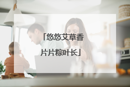 悠悠艾草香 片片粽叶长