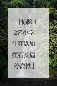 惊险！2名小学生在铁轨摆石头逼停高铁