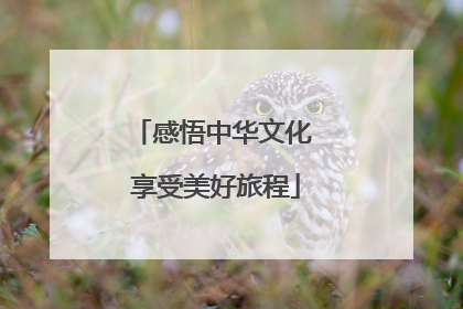感悟中华文化 享受美好旅程