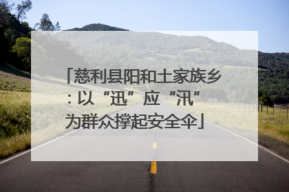 慈利县阳和土家族乡：以“迅”应“汛” 为群众撑起安全伞