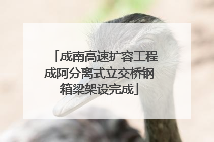 成南高速扩容工程成阿分离式立交桥钢箱梁架设完成