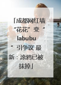 成都网红墙“花花”变“labubu”引争议 最新：涂鸦已被抹掉