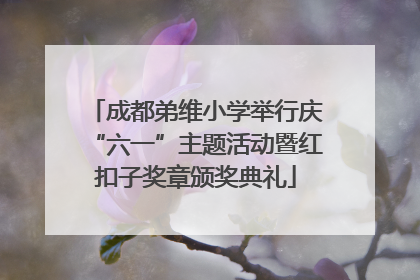 成都弟维小学举行庆“六一”主题活动暨红扣子奖章颁奖典礼