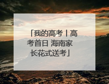 我的高考丨高考首日 海南家长花式送考