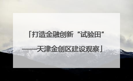 打造金融创新“试验田”——天津金创区建设观察
